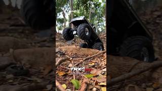 Traxxas TRX4MT Monster Truck 118 Scale traxxas trx4mt [upl. by Einapets]