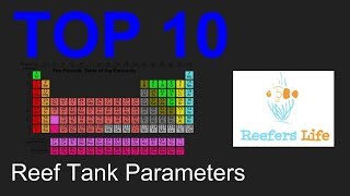 Top 10 Reef Tank Parameters [upl. by Ardnassac]