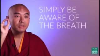 Buddhistischer Mönch teilt seine Geheimnisse der Meditation Mingyur Rinpoche Deutsch Monkey Mind [upl. by Lyssa193]