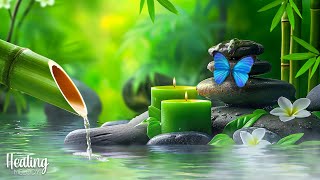 Soothing Piano Relaxation Music 🌿 Gentle Piano Music for Sleep  Water Sounds amp Relax Meditation [upl. by Chambers]