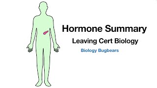 Biology Bugbears Hormones SummaryLeaving Cert Biology [upl. by Nyre]