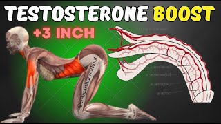 All Americans Must Do This Kegel Exercises for Pelvic Floor Boost Testosterone  Pelvic Floor [upl. by Chun]