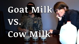 Blind Taste Test Goat Milk vs Cow Milk [upl. by Aindrea262]