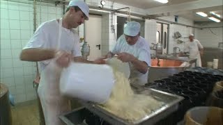 La fabrication du fromage un vrai travail dalchimiste [upl. by Ettigirb84]