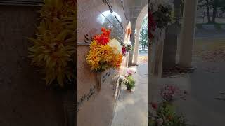 This is the Columbarium Niche at Connecticut’s Mountain Grove Cemetery shorts [upl. by Aninaj]