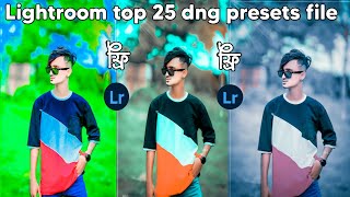 TOP 25 Lightroom preset file   free download 2024 [upl. by Feriga456]