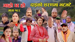 दाइको शरणमा भट्भटे II Garo Chha Ho II Episode 188 II Feb 05 2024 II Begam Nepali II Riyasha Dahal [upl. by Kerge]