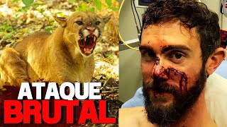 Los Ataques de Animales Más Aterradores Jamás Registrados MARATON [upl. by Fokos]