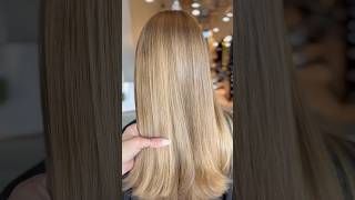 Pure Brazilian Express Blowout for Smooth FrizzFree Gorgeous Healthy Hair [upl. by Ihcekn521]