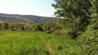 Appalachian Trail Pochuck Boardwalk to Pinwheel Vista [upl. by Nnayd]