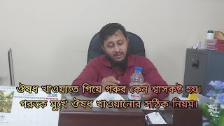 গরুকে ভুল নিয়মে ঔষধ খাওয়ানো যখন মৃত্যু ডেকে আনে ।। খামারি গরু।। গরুকে ঔষধ খাওয়ানোর নিয়ম ।। গরুর [upl. by Asillem989]