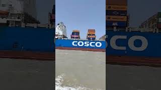 COSCO SHIPPING LINE ⚓🚢⛴️⚓shortvideo ship new [upl. by Ymassej149]