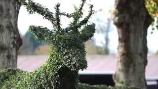 Topiary Art by Agrumi [upl. by Braca]