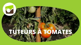 Piquets de tomates en bois avec son cône anti pourrissement  un tuteur tomate ingénieux et durable [upl. by Isabea]