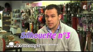 Collier Lumineux chien  France 2 [upl. by Submuloc]