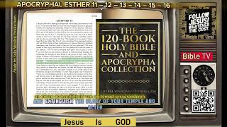 1 The 120 Book Holy Bible and Apocrypha Collection Literal  APOCRYPHAL ESTHER  111213141516 [upl. by Katusha189]