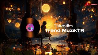 Tükendim  Trend MüzikTR  Melankolik Retro Pop Ayrılık Şarkısı [upl. by Macintosh]