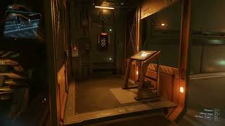 Personal Hangar in Star Citizen patch 324 [upl. by Waylan]