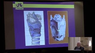 2023 Tutorial Anatomy and Physiology of Phonation An Overview – Robert T Sataloff MD [upl. by Durwyn]