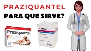 PRAZIQUANTEL que es y para que sirve praziquantel como usar praziquantel 600mg tablets [upl. by Euqnimod]