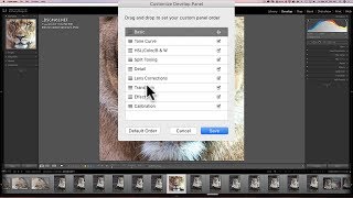 New Customization Feature in Lightroom Classic CC [upl. by Yht]