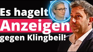 Alice Weidel Konsequenzen für SPD Chef [upl. by Eadnus]