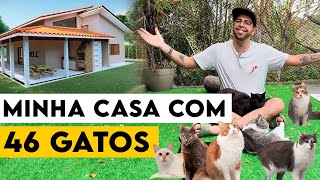 VIVENDO COM 46 GATOS  O PAI DOS GATOS [upl. by Newby978]