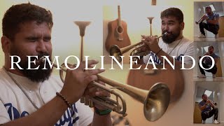 Remolineando  Fernel Monroy  Trumpet Melody [upl. by Eicnan]