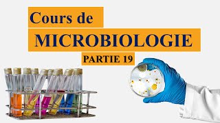 Cours de microbiologie partie 19  voies du métabolisme  respiration aérobie  fermentation [upl. by Cuthbertson]