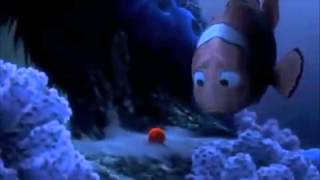 Finding Memo  Nemo Egg Scene [upl. by Anay]