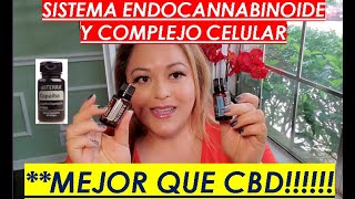 DoTerra COPAIBA y DDR PRIME mejor que CBD para el sistema Endocannabinoide [upl. by Nikki714]