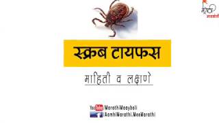 Scrub Typhus  स्क्रब टायफस आजाराची लक्षणं व माहिती [upl. by Vadim679]