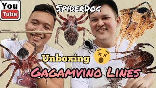 UNBOXING TIME GAGAMVINO LINES JUMBO at Mga SUPER DERBY SPIDERS [upl. by Grae]