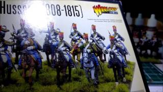 Historical Minis Showcase  Napoleonic French 6th Hussars Warlord Games [upl. by Elleved]