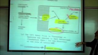 SYNAPTIC TRANSMISSION IN THE CNS PART 2 by Professor Fink [upl. by Donoho535]