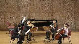 MozartQuartet for flute and strings in D K283 mov1 [upl. by Aliek3]