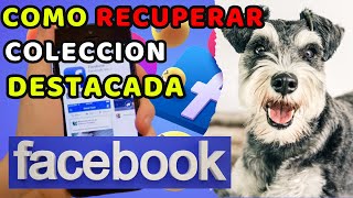 Cómo Recuperar Colección DESTACADA o historias destacadas De Facebook 2024 [upl. by Urbai]