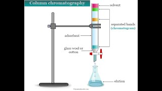 Column chromatography and its principle chromatography [upl. by Gusti]