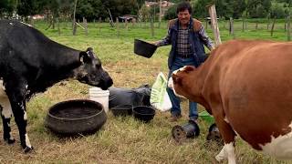 Los pequeños ganaderos también deben planear  La Finca de Hoy [upl. by Edya982]