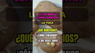 ¿LA YUCA ES TAN BUENA COMO PARECE DESCUBRE SU LADO OSCURO saludable dieta sabiasque [upl. by Fenton]