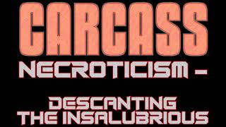 Carcass  Discography carcass music deaththrash discography [upl. by Selemas]