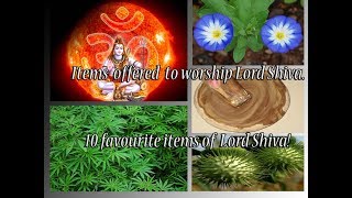 10 Items to Please Lord Shiva  Lord Shivas Favourite Offerings [upl. by Mila999]