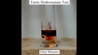 Ferric Hydroxamate Test for Esters [upl. by Adnocahs]