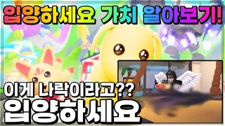 🧊입양하세요의 근본펫이 나락갔다 나락간 펫의 가치를 알아보았다🧊 [upl. by Eitsud]