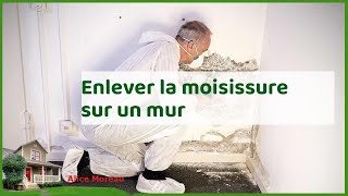 Enlever les moisissures sur les murs et papier peint  astuces et conseils pratiques [upl. by Otrepur]