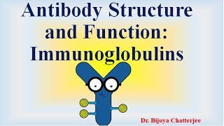 Antibody Structure and Functions [upl. by Mahmud105]