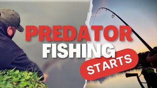 PREDATOR FISHING BEGINS WITH HUGE SURPRISE [upl. by Akimihs66]