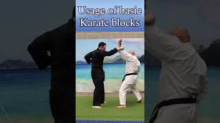 Self defence with basic karate techniques [upl. by Eixor]