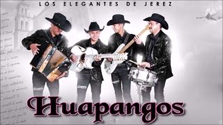 Los Elegantes De Jerez  Mix Huapango el Vaquero 2022 [upl. by Jennine]