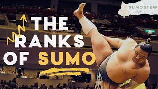 How Sumo Wrestlers are Ranked  Sumo Divisions Promotions amp Banzuke Explained [upl. by Bean]